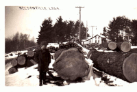 Logging Picture